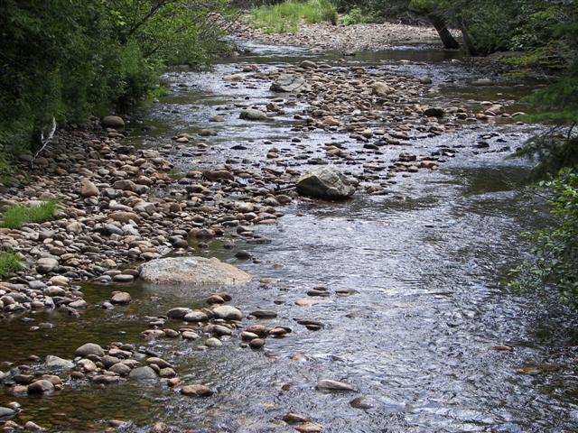 Scenery along the paths at Great Glen Trails near Gorham NH #12 of 27 (#1409)