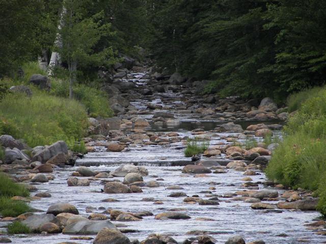 Scenery along the paths at Great Glen Trails near Gorham NH #21 of 27 (#1422)
