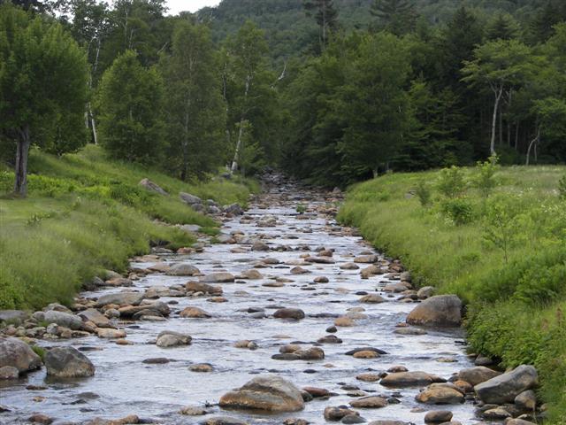 Scenery along the paths at Great Glen Trails near Gorham NH #23 of 27 (#1424)