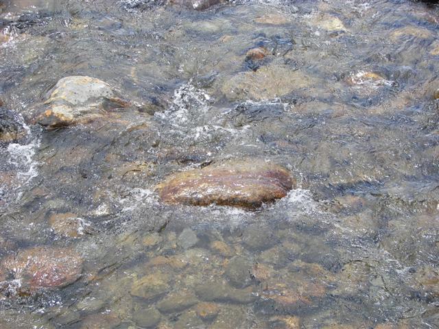 Scenery along the paths at Great Glen Trails near Gorham NH #25 of 27 (#1426)