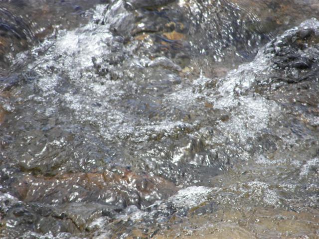 Scenery along the paths at Great Glen Trails near Gorham NH #26 of 27 (#1427)