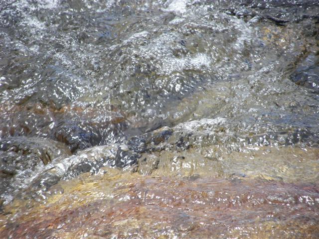 Scenery along the paths at Great Glen Trails near Gorham NH #27 of 27 (#1428)