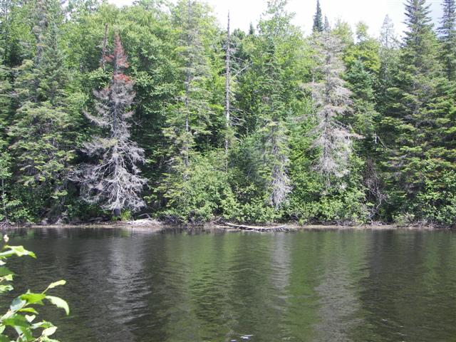 Along highways 6, 16 and 26 in northern New Hampshire #5 of 14 (#1439)