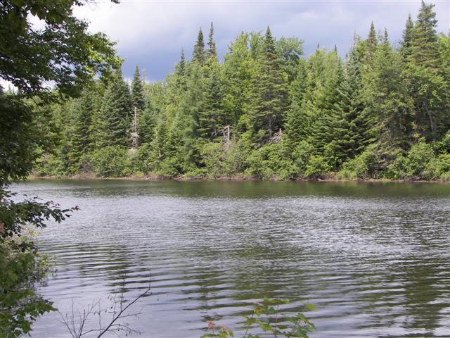 Along highways 6, 16 and 26 in northern New Hampshire #6 of 14 (#1440)