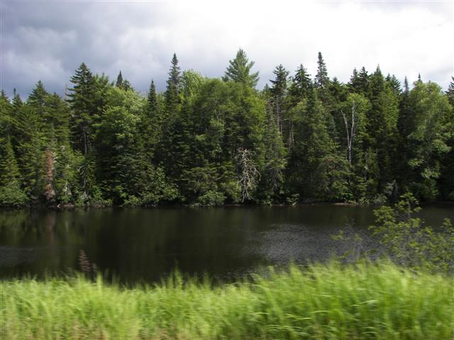 Along highways 6, 16 and 26 in northern New Hampshire #8 of 14 (#1446)