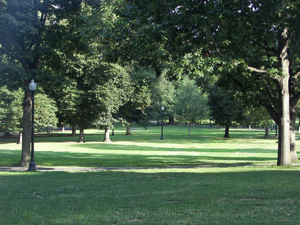 Boston Common (#2 of 2) (#1981)