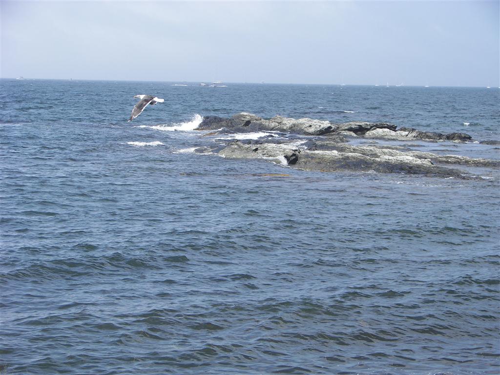 Ocean along Ocean View Drive #2 of 2 (#2015)