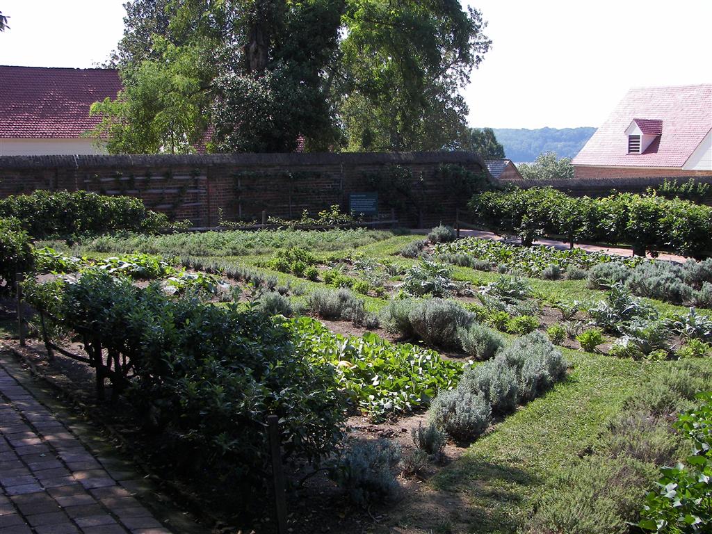 Vegetable/fruit garden #1 of 3 (#2179)