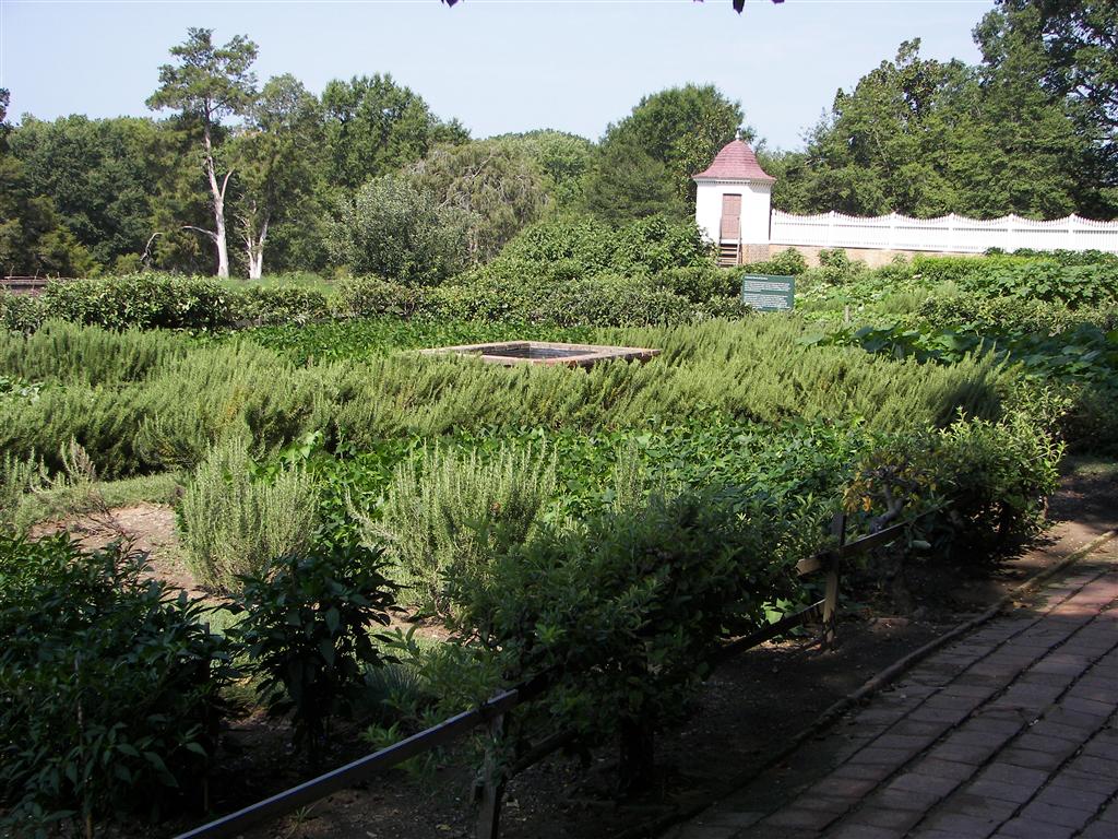 Vegetable/fruit garden #2 of 3 (#2180)