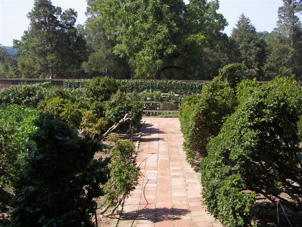 Vegetable/fruit garden #3 of 3 (#2181)