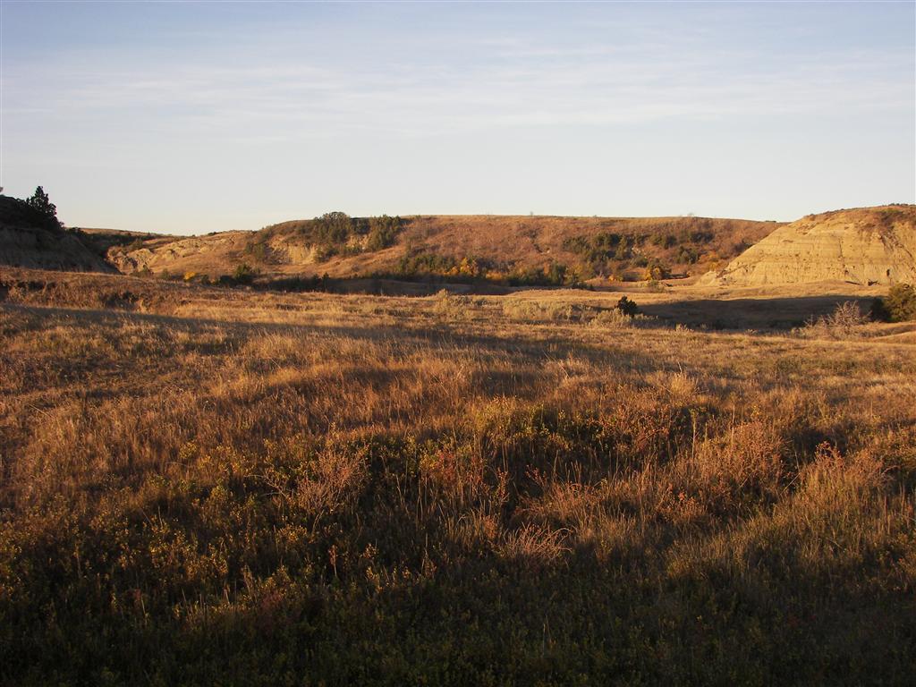 The hills/mountains in T. Roosevelt National Park South Unit 12 of 29 (#2539)
