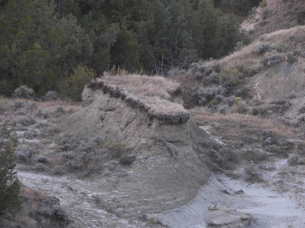 The hills/mountains in T. Roosevelt National Park South Unit 13 of 29 (#2540)