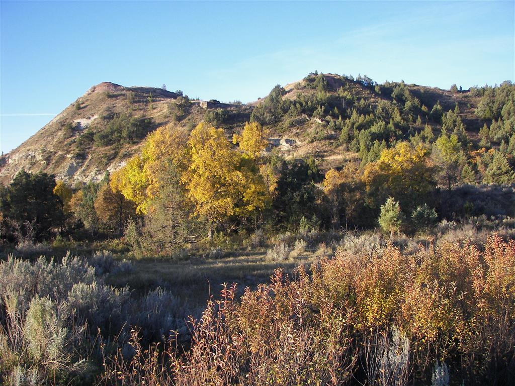 The hills/mountains in T. Roosevelt National Park South Unit 18 of 29 (#2545)