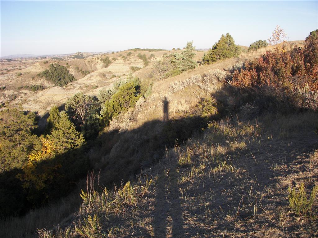 The hills/mountains in T. Roosevelt National Park South Unit 25 of 29 (#2557)