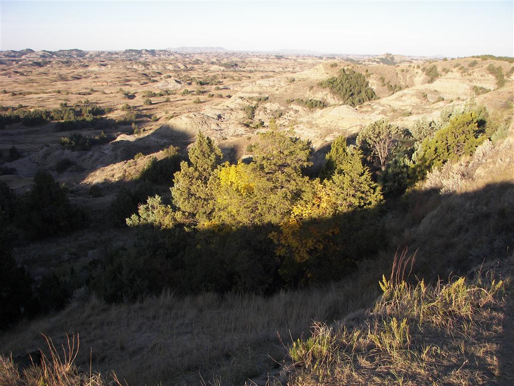 The hills/mountains in T. Roosevelt National Park South Unit 26 of 29 (#2558)