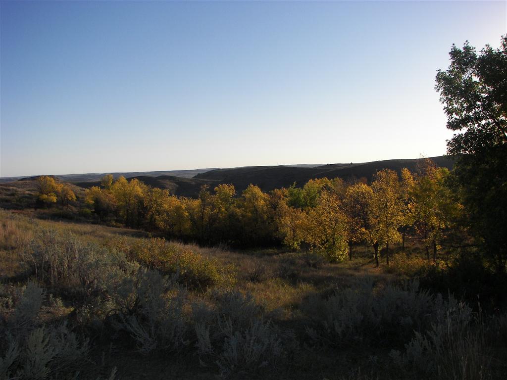 The hills/mountains in T. Roosevelt National Park South Unit 27 of 29 (#2559)