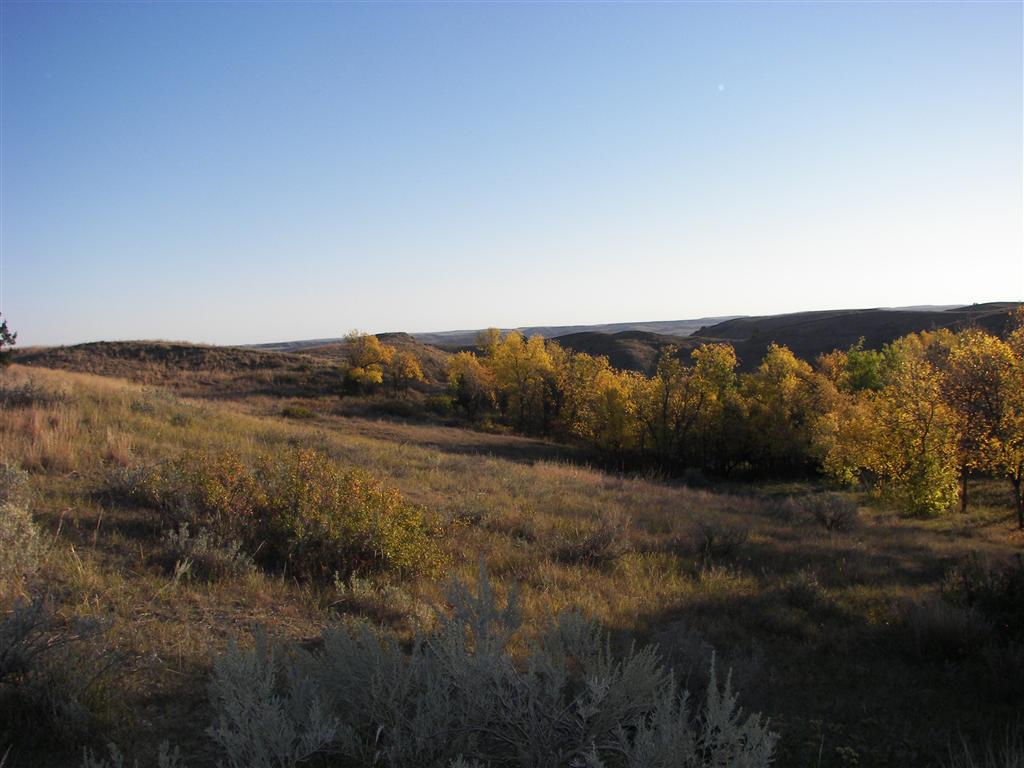 The hills/mountains in T. Roosevelt National Park South Unit 28 of 29 (#2560)
