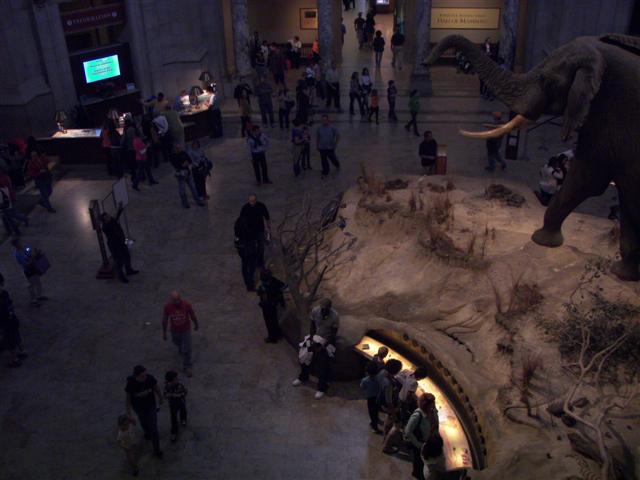 Smithsonian Museum of Natural History (only one we had time for) (  2 of  3) (#2865)