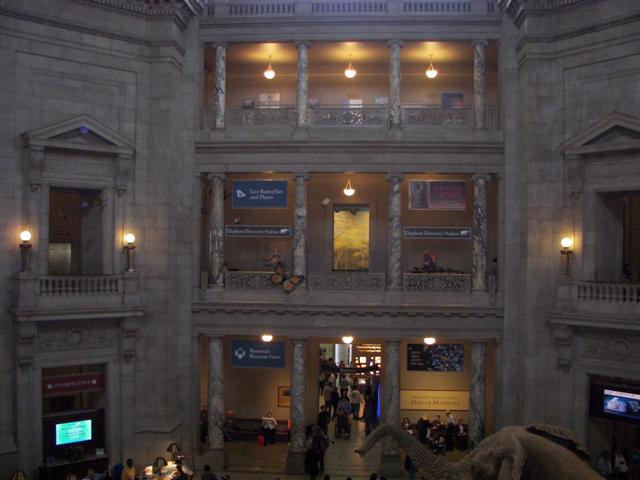 Smithsonian Museum of Natural History (only one we had time for) (  3 of  3) (#2866)