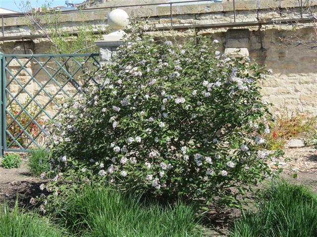 Botanical Gardens in Boise Idaho ( 3 of 17) (#0348)