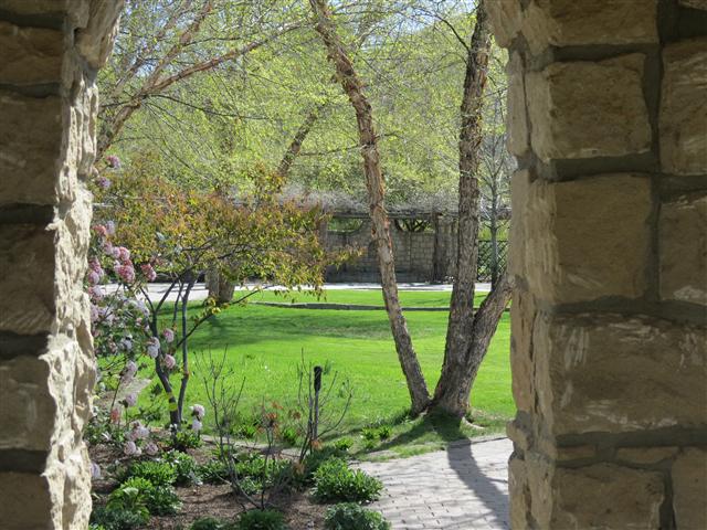 Botanical Gardens in Boise Idaho ( 4 of 17) (#0349)