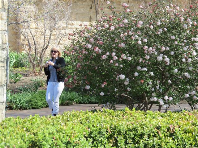 Botanical Gardens in Boise Idaho ( 8 of 17) (#0353)