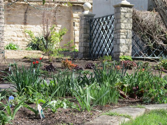 Botanical Gardens in Boise Idaho ( 9 of 17) (#0354)