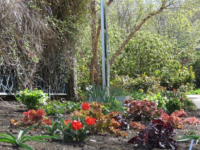 Botanical Gardens in Boise Idaho ( 11 of 17) (#0357)