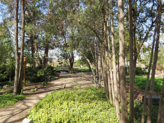 Botanical Gardens in Boise Idaho ( 17 of 17) (#0363)