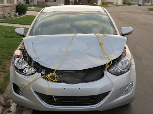 Elanta after striking a deer ( 2 of 7) (#0371)