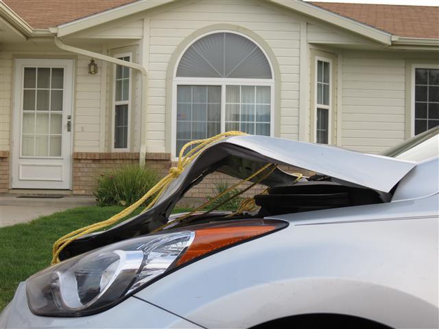 Elanta after striking a deer ( 4 of 7) (#0373)