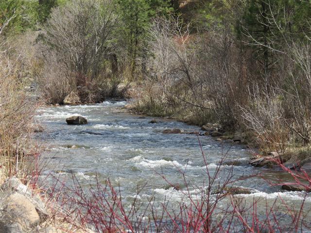 Boise National Forest Idaho ( 2 of 9) (#0409)
