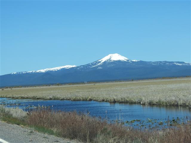 Along the highways north of Crater Lake ( 5 of 9) (#0435)