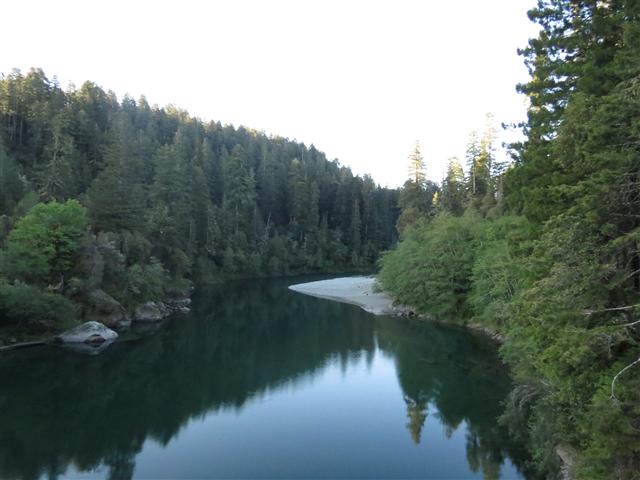 Redwoods National and State Parks in northern California ( 2 of 12) (#0462)