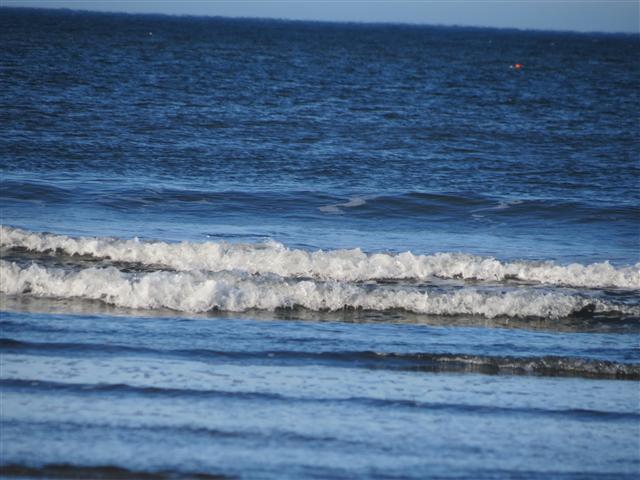 Pacific Ocean near the Redwoods National and State Parks in nortern California ( 1 of 22) (#0467)