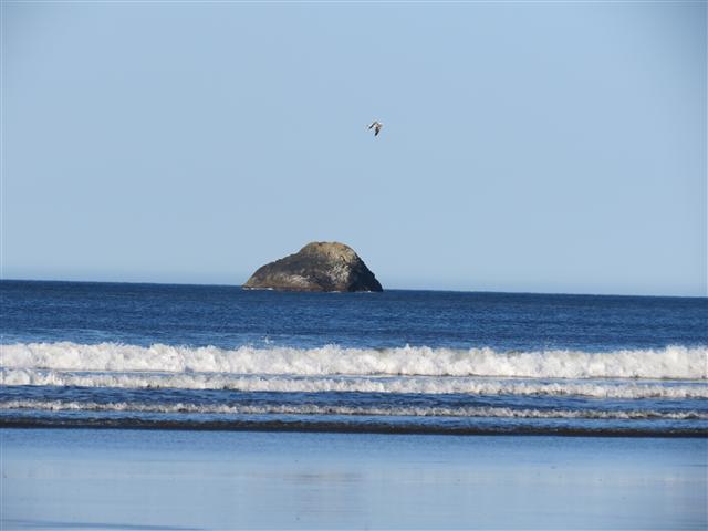 Pacific Ocean near the Redwoods National and State Parks in nortern California ( 6 of 22) (#0469)