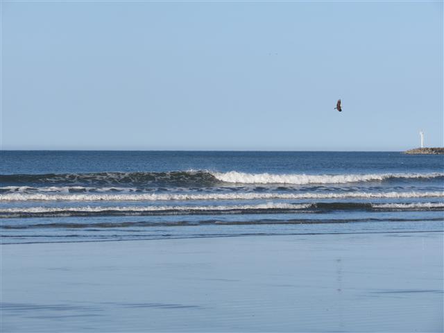Pacific Ocean near the Redwoods National and State Parks in nortern California ( 4 of 22) (#0472)