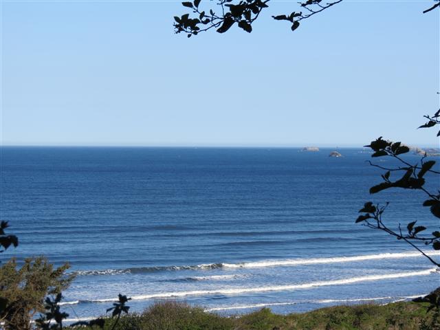 Pacific Ocean near the Redwoods National and State Parks in nortern California ( 11 of 22) (#0476)