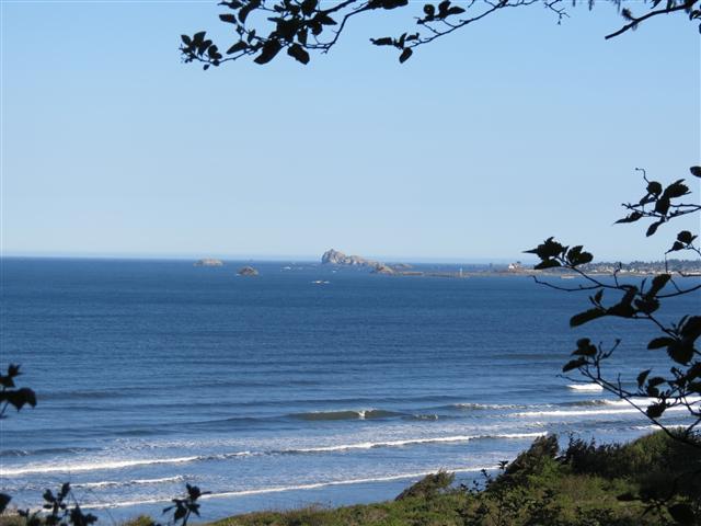 Pacific Ocean near the Redwoods National and State Parks in nortern California ( 12 of 22) (#0477)