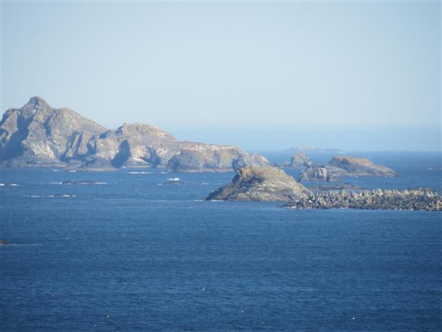Pacific Ocean near the Redwoods National and State Parks in nortern California ( 13 of 22) (#0478)