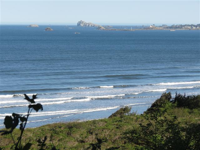 Pacific Ocean near the Redwoods National and State Parks in nortern California ( 15 of 22) (#0480)