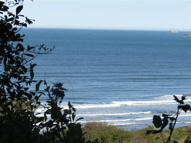 Pacific Ocean near the Redwoods National and State Parks in nortern California ( 16 of 22) (#0481)