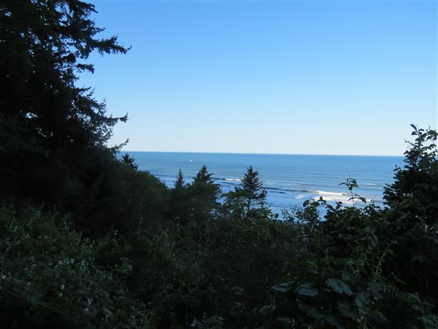 Pacific Ocean near the Redwoods National and State Parks in nortern California ( 17 of 22) (#0482)