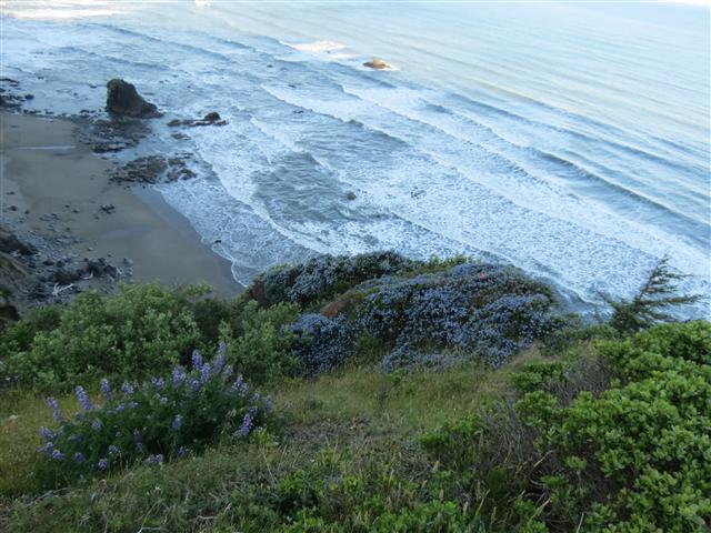 Pacific Ocean near the Redwoods National and State Parks in nortern California ( 19 of 22) (#0485)