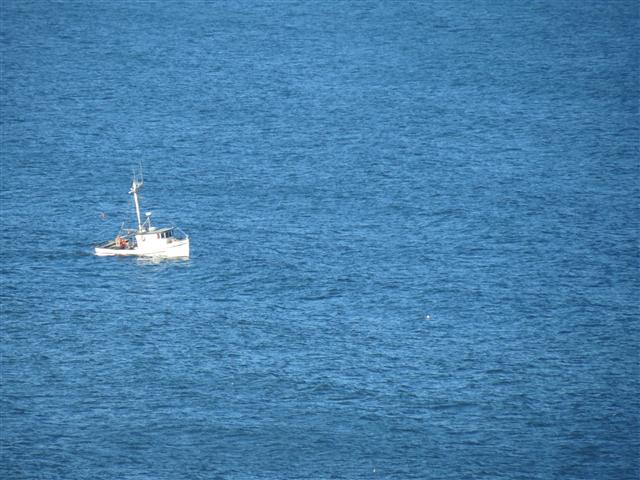 Pacific Ocean near the Redwoods National and State Parks in nortern California ( 22 of 22) (#0488)