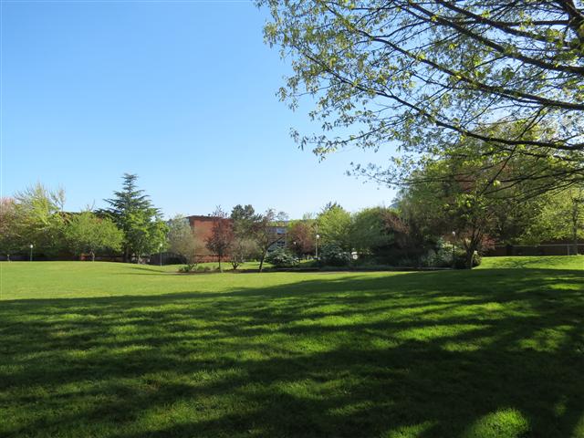 Some building on campus of University of Oregon ( 1 of 4) (#0511)