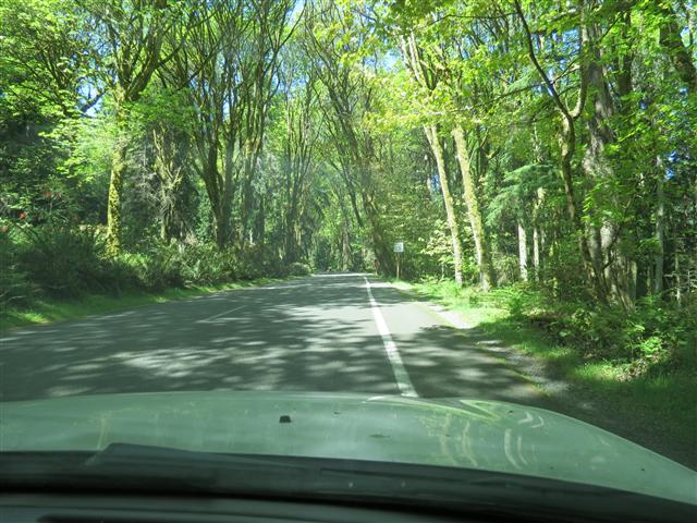 Point Defiance in Tacoma ( 1 of 5) (#0544)