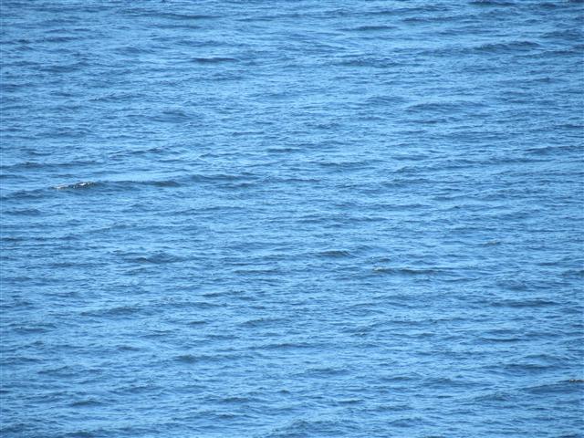 Puget Sound from Tacoma ( 8 of 21) (#0552)