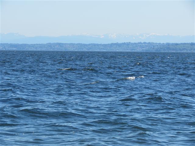 Puget Sound from Tacoma ( 17 of 21) (#0569)