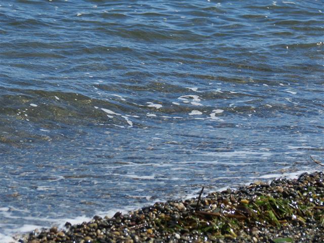 Puget Sound from Tacoma ( 18 of 21) (#0570)